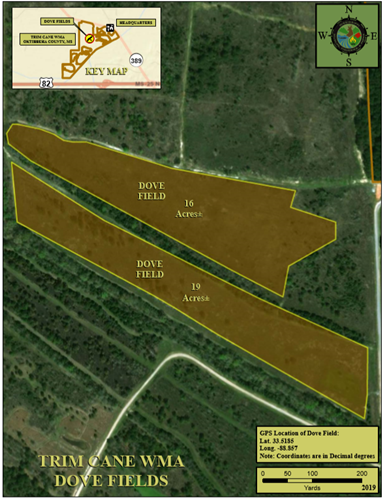 Trim Cane Dove Field