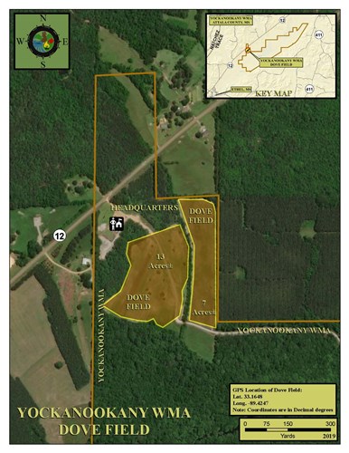 Yockanookany Dove Field