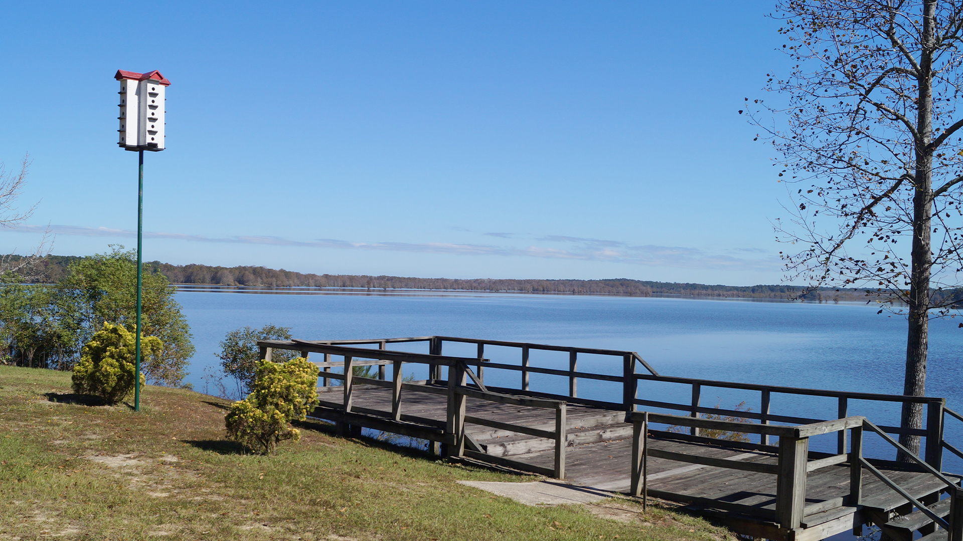 Lake Bogue Homa