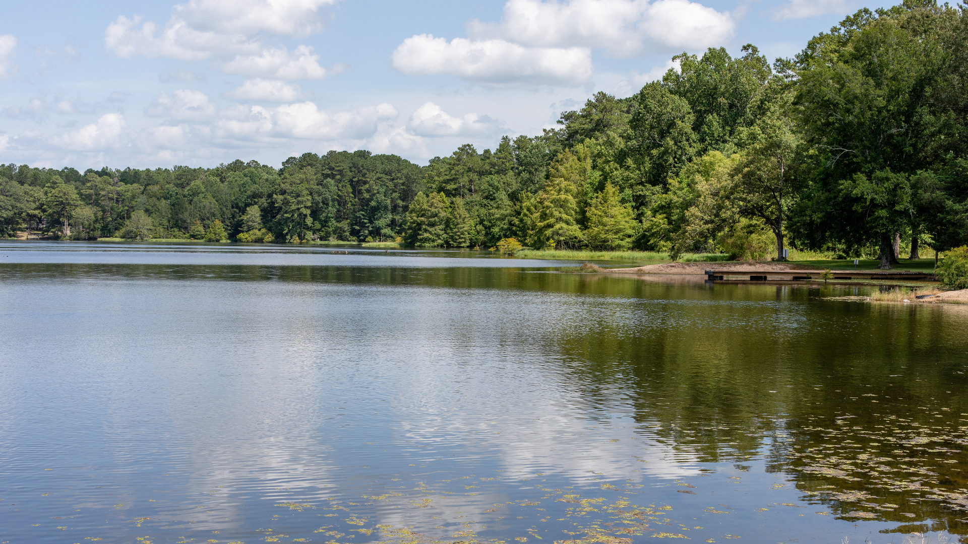 Lake Jeff Davis