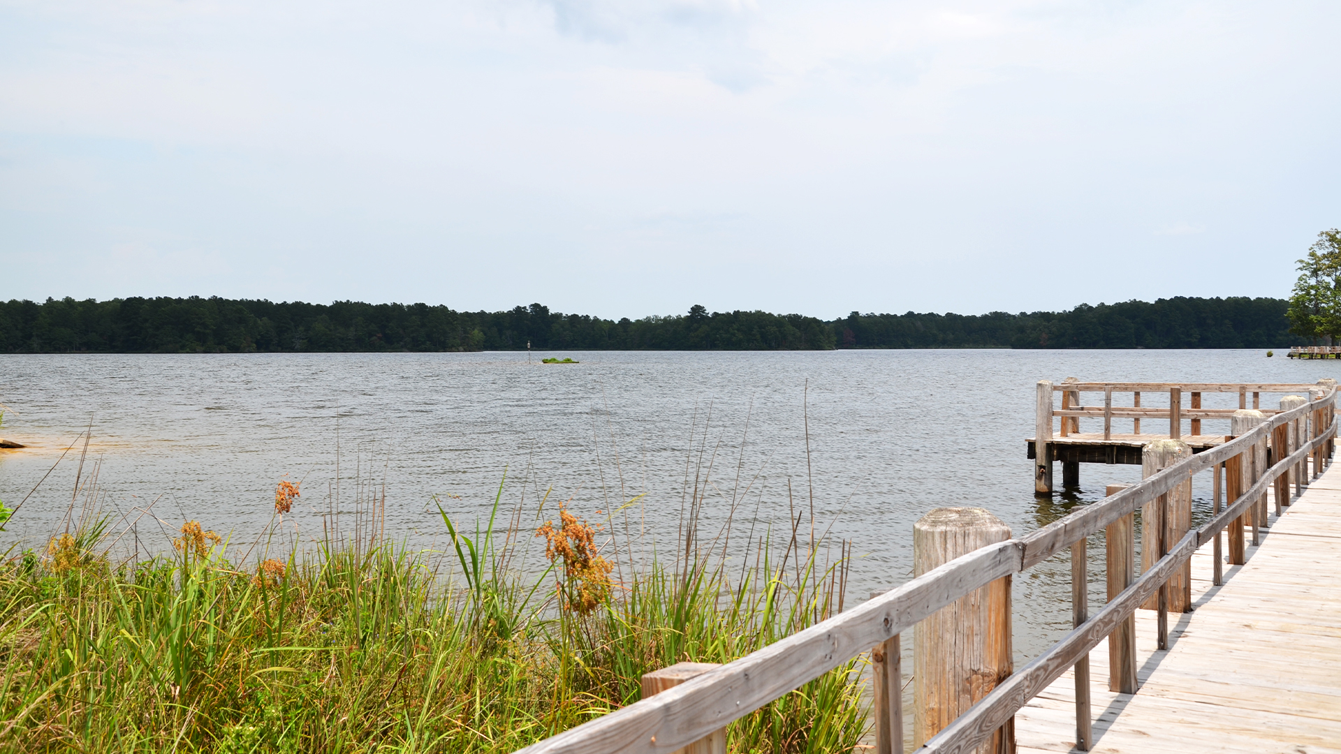 Lake Lincoln