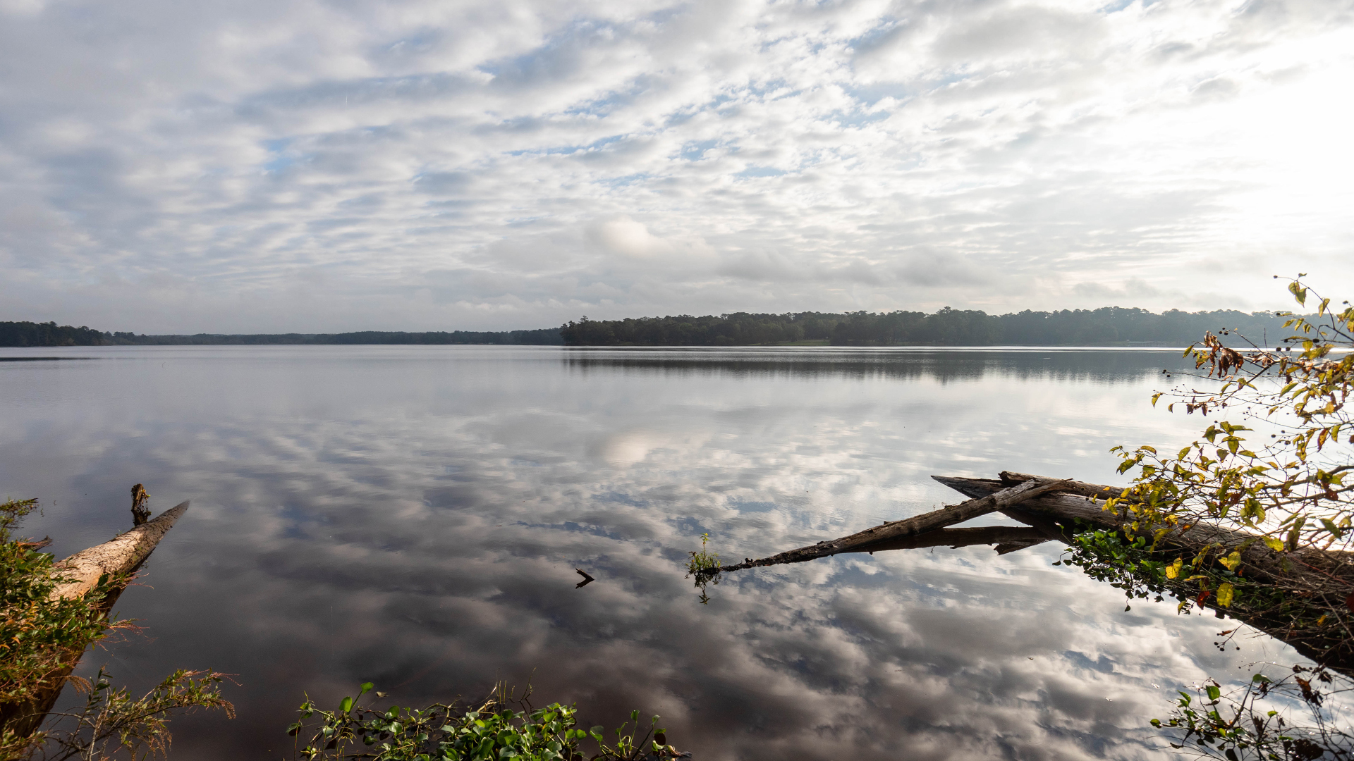 Lake Tangipahoa