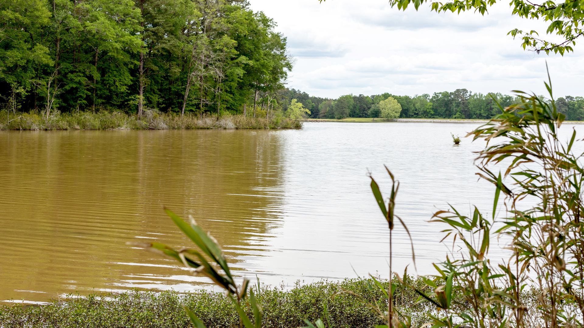 Lake Tom Baily