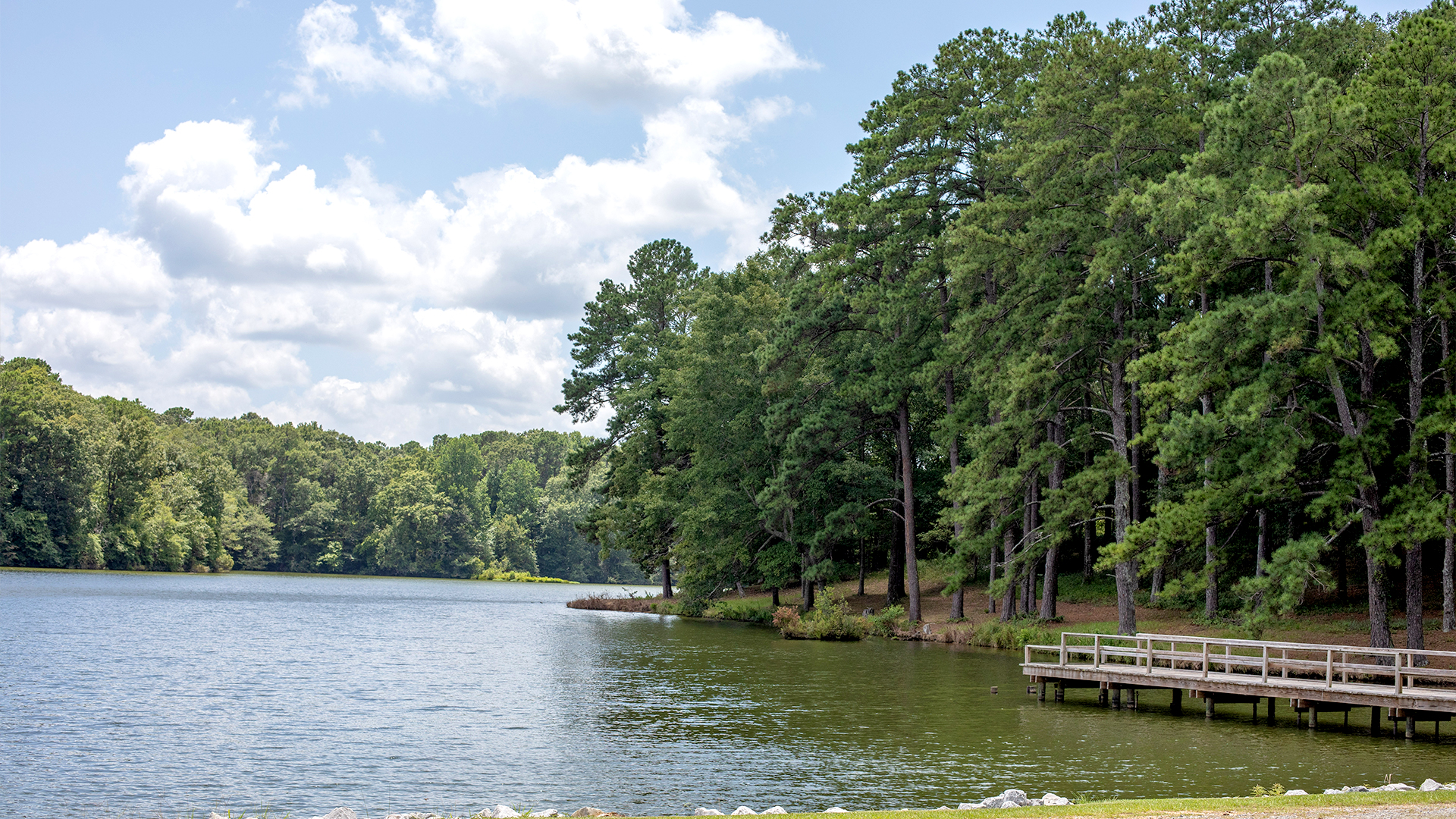 Prentiss Walker Lake