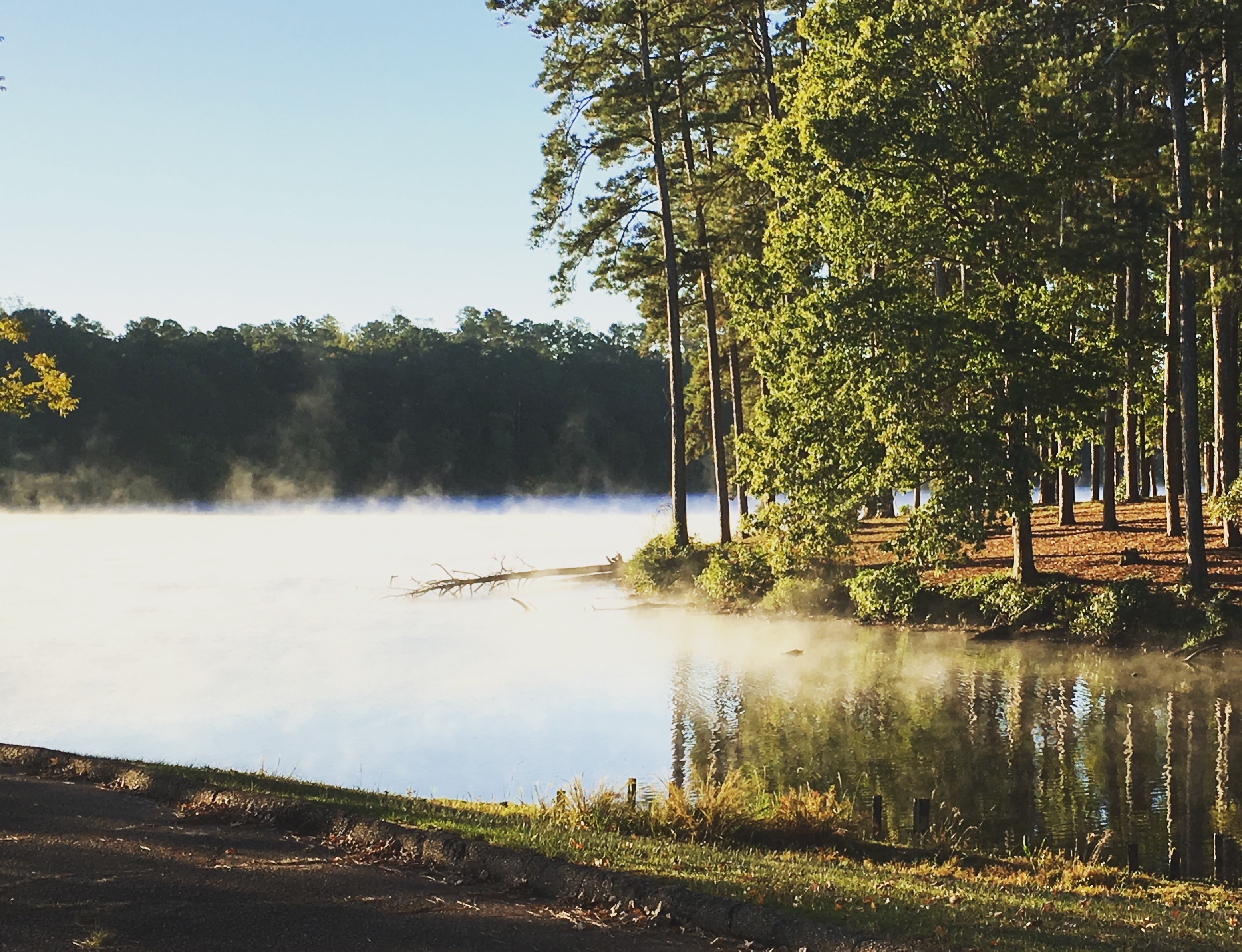 Fog on Lake Lowndes