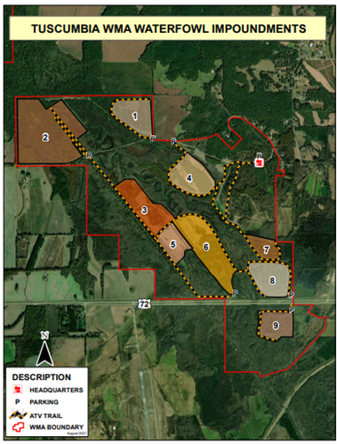 Tuscumbia impoundments
