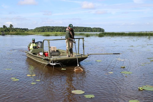 Electrofishing