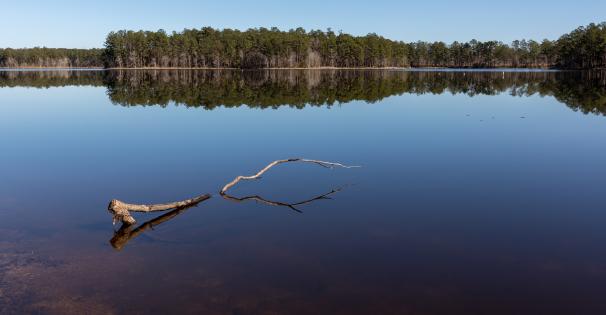 Lake Bill Waller