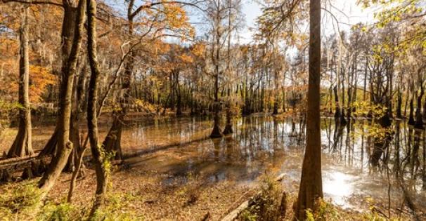 Mayes Lake