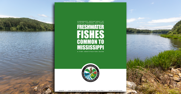 Fish ID Guide