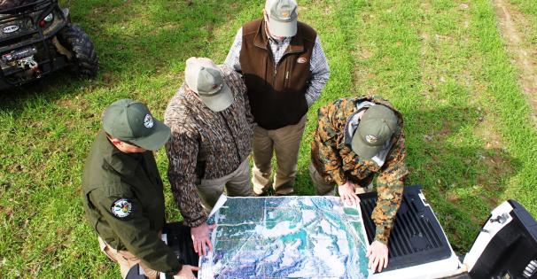 PLP - Mapping