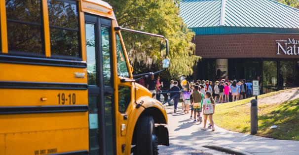field trips at museum 