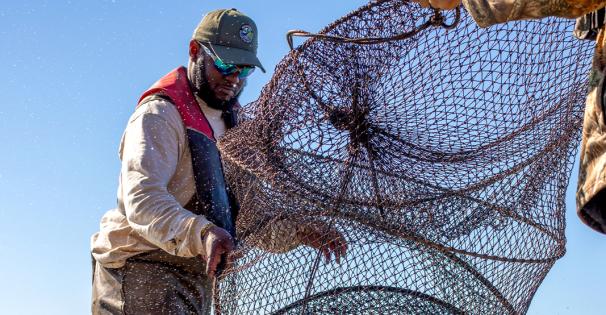 Commercial Fishing