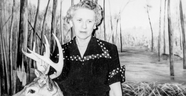 Fannye Cook