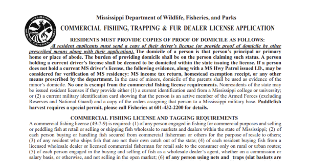 Permit Thumbnail