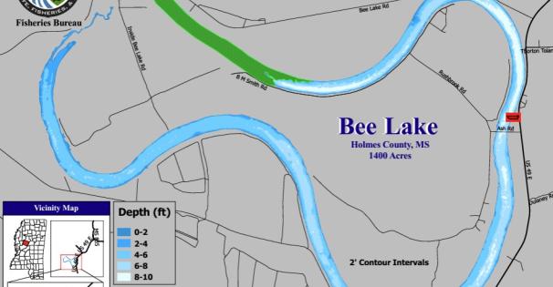 bee lake 