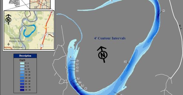 tunica