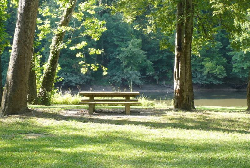 Picnic Area