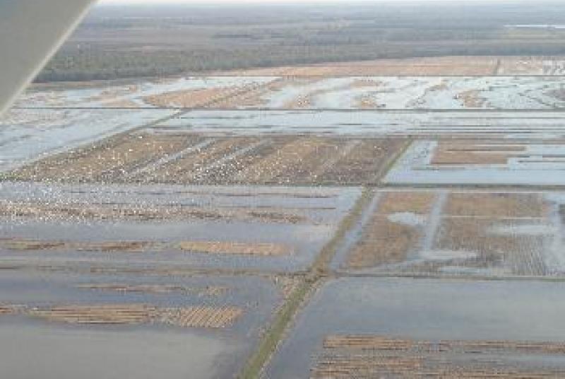 Howard millar aerial