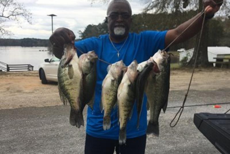 Bogue Homa Bass