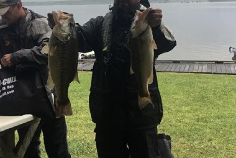 Bogue Homa Bass