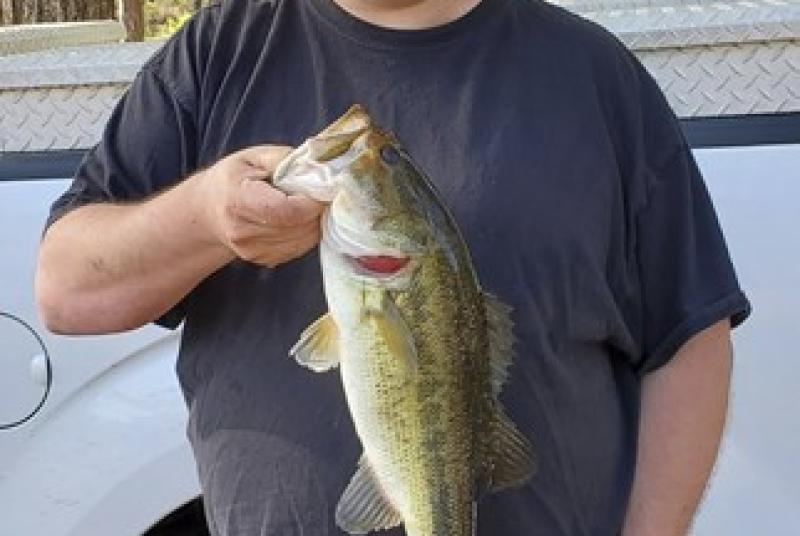 Perry Bass 1