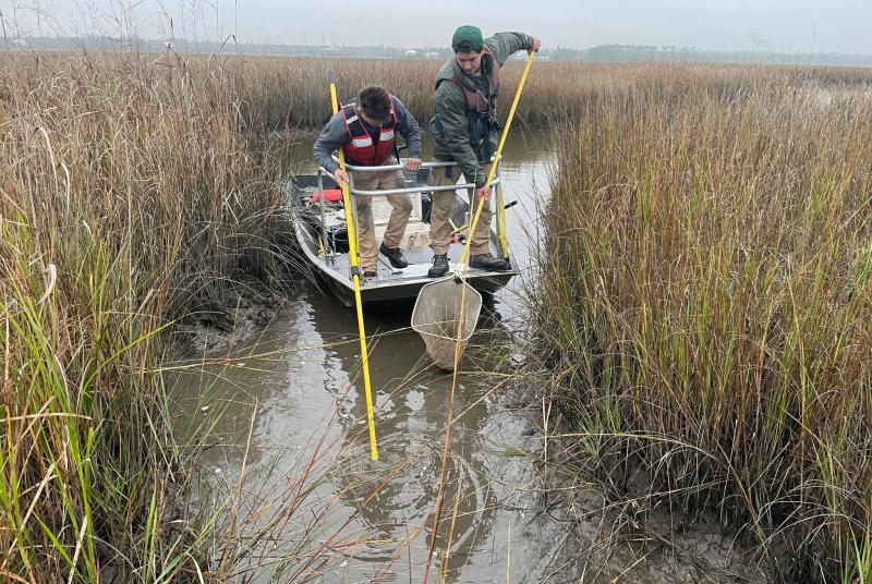 Electrofishing along coast of Mississippi