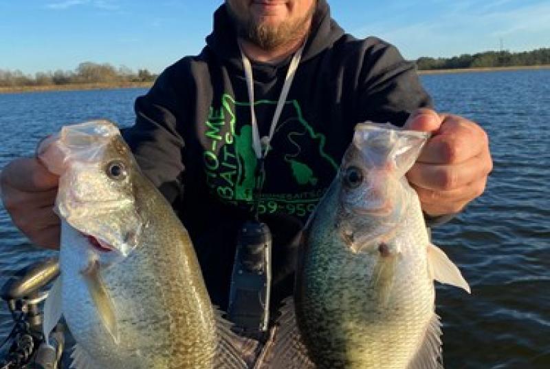 Lake Lincoln Crappie