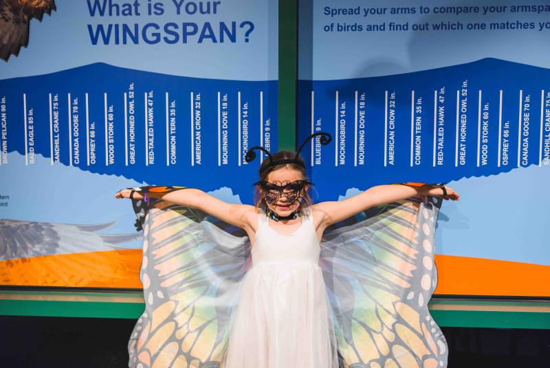 Child in Costume in Front of the Bird Flight Exhibit wing span panel at Park After Dark