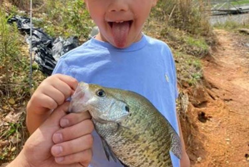 Percy Quin Crappie