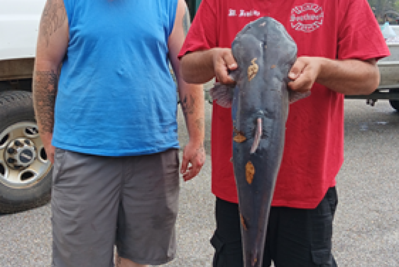 Prentiss Catfish